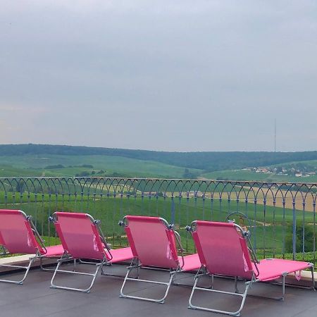 Fleury-la-Riviere Floressens En Champagne Terrasse Privative Sur Le Vignoble 빌라 외부 사진