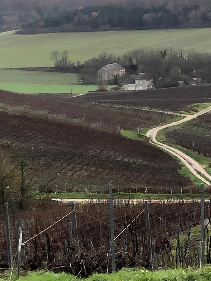 Fleury-la-Riviere Floressens En Champagne Terrasse Privative Sur Le Vignoble 빌라 외부 사진