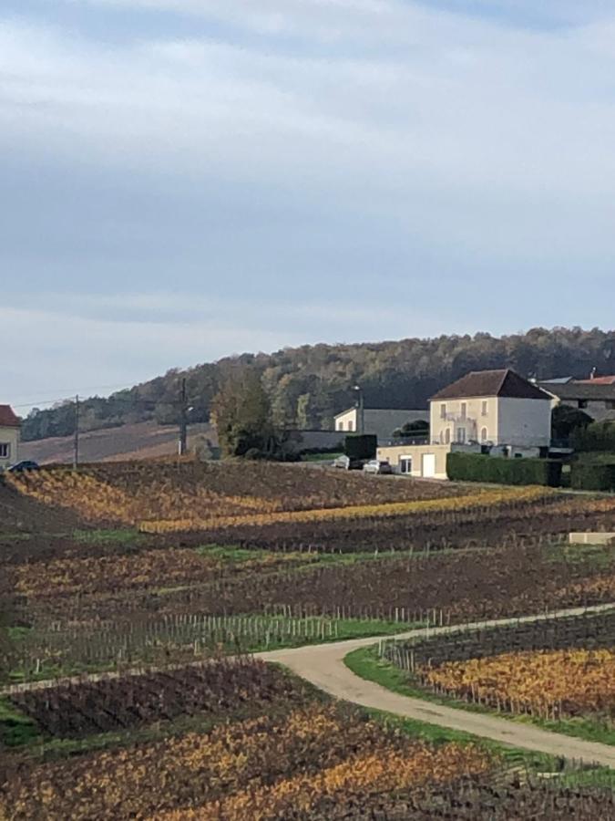 Fleury-la-Riviere Floressens En Champagne Terrasse Privative Sur Le Vignoble 빌라 외부 사진