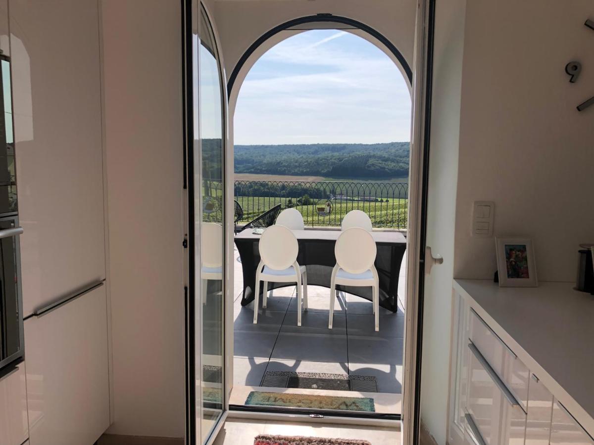 Fleury-la-Riviere Floressens En Champagne Terrasse Privative Sur Le Vignoble 빌라 외부 사진