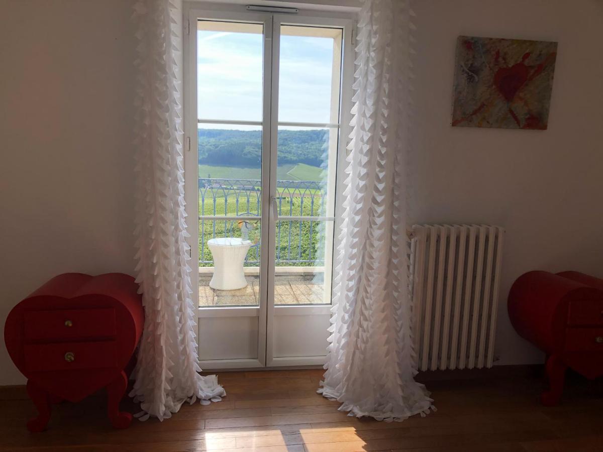 Fleury-la-Riviere Floressens En Champagne Terrasse Privative Sur Le Vignoble 빌라 외부 사진