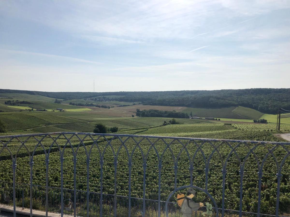 Fleury-la-Riviere Floressens En Champagne Terrasse Privative Sur Le Vignoble 빌라 외부 사진