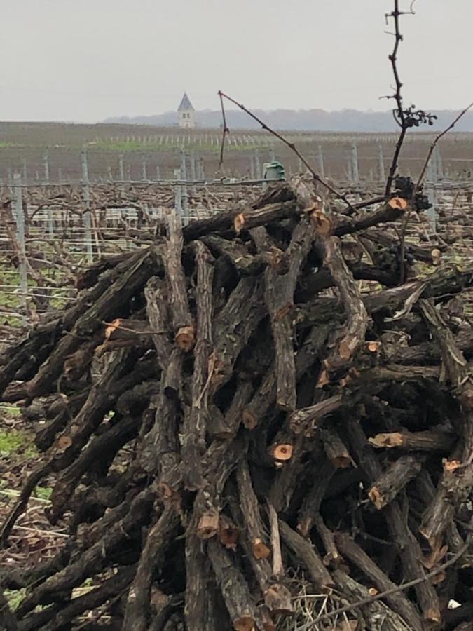 Fleury-la-Riviere Floressens En Champagne Terrasse Privative Sur Le Vignoble 빌라 외부 사진