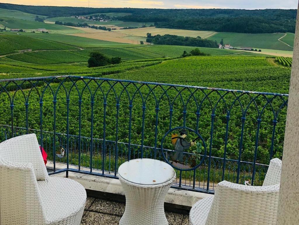 Fleury-la-Riviere Floressens En Champagne Terrasse Privative Sur Le Vignoble 빌라 외부 사진