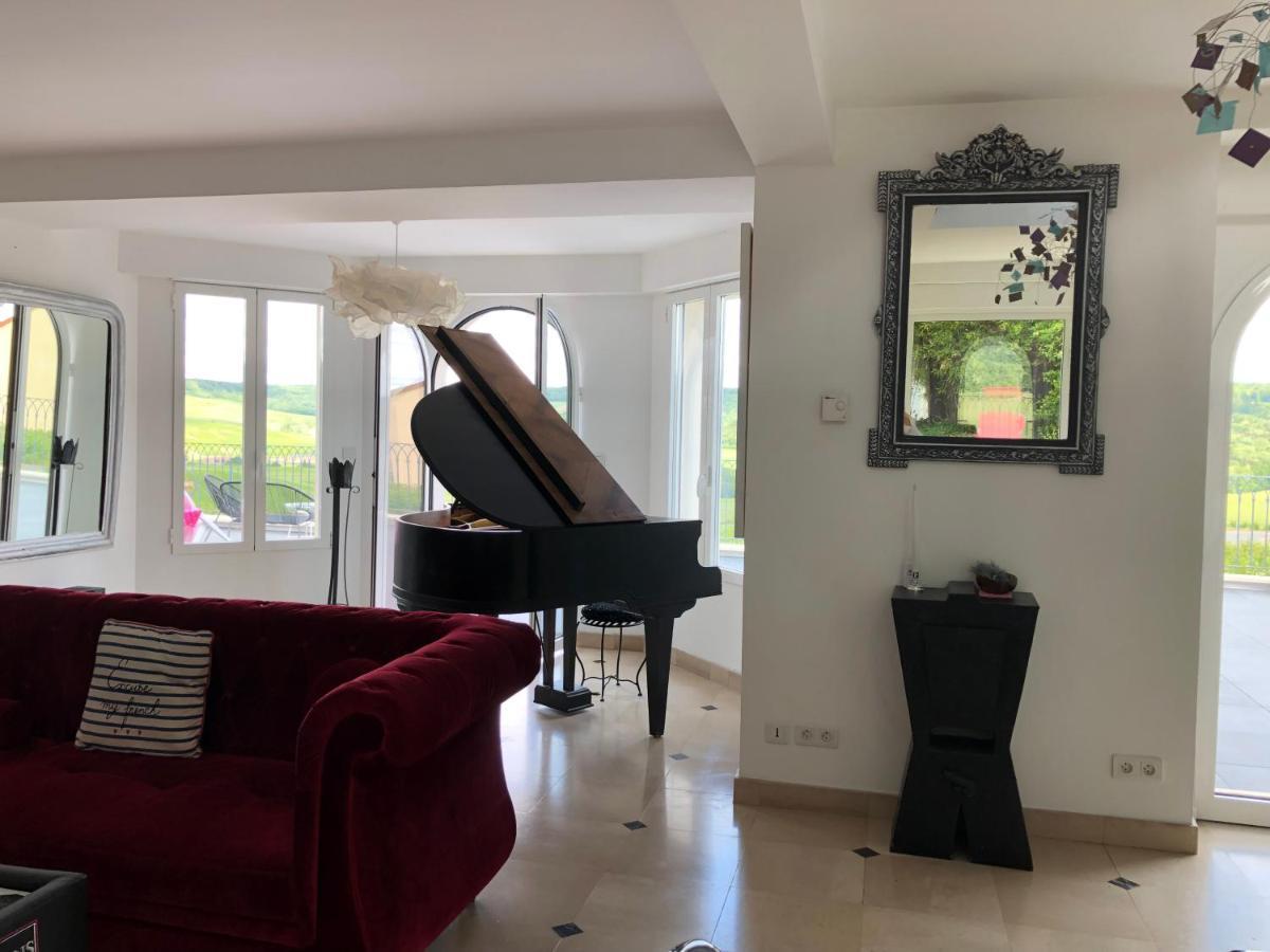 Fleury-la-Riviere Floressens En Champagne Terrasse Privative Sur Le Vignoble 빌라 외부 사진