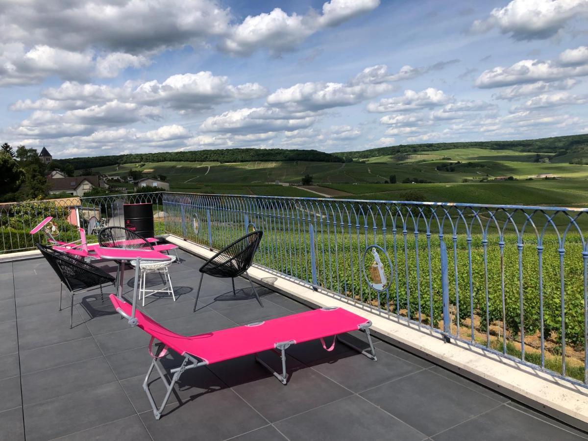 Fleury-la-Riviere Floressens En Champagne Terrasse Privative Sur Le Vignoble 빌라 외부 사진