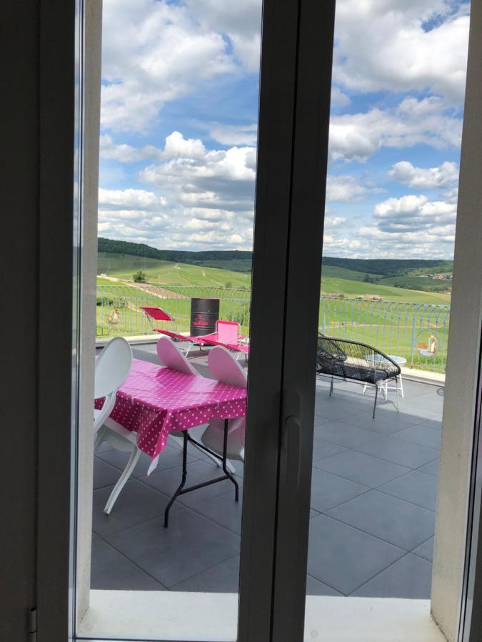 Fleury-la-Riviere Floressens En Champagne Terrasse Privative Sur Le Vignoble 빌라 외부 사진